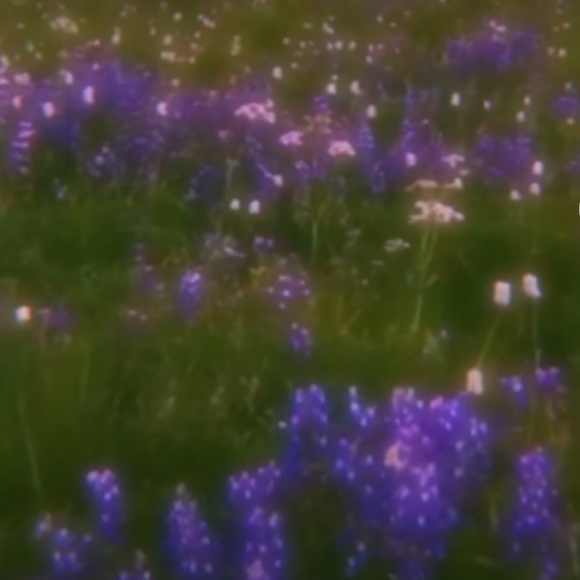 Meet your Posher, Amariya - Picture 1 of 1